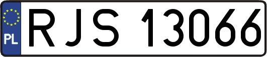 RJS13066