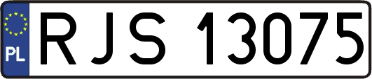 RJS13075
