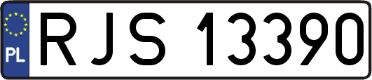 RJS13390