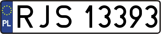 RJS13393
