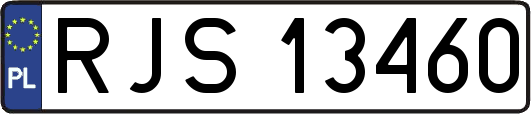 RJS13460