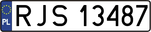 RJS13487