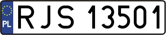 RJS13501
