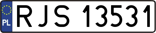 RJS13531