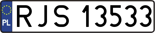 RJS13533