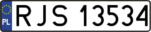 RJS13534
