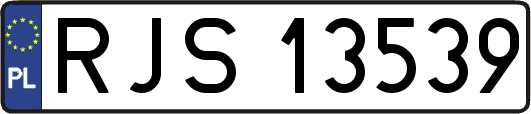 RJS13539