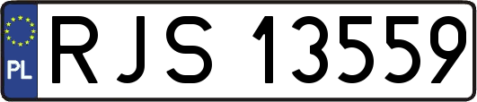 RJS13559
