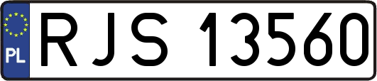 RJS13560