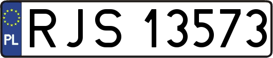 RJS13573