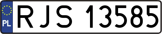 RJS13585