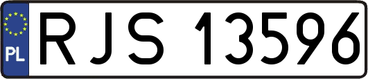 RJS13596