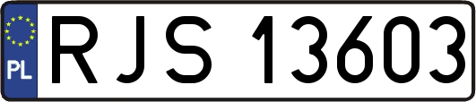 RJS13603