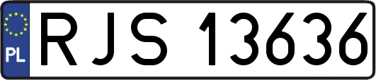 RJS13636