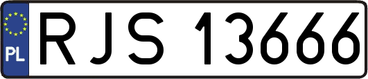 RJS13666