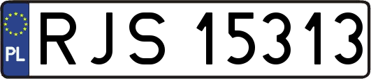 RJS15313