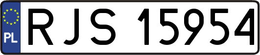 RJS15954