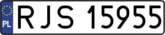 RJS15955