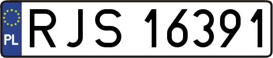 RJS16391