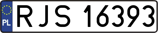 RJS16393