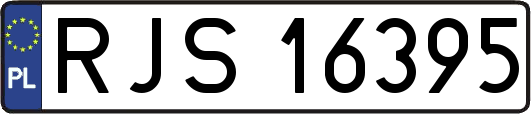 RJS16395