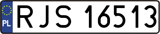 RJS16513