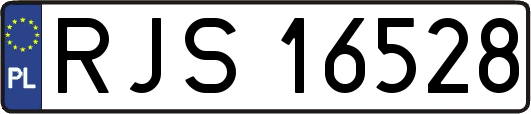 RJS16528