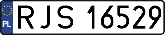 RJS16529