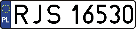 RJS16530