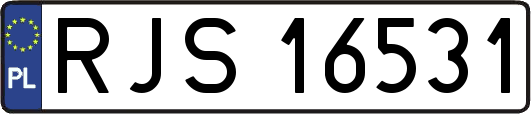 RJS16531