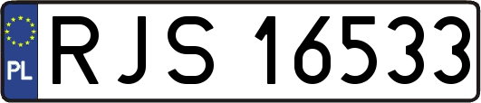 RJS16533