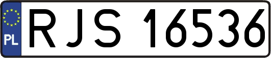 RJS16536