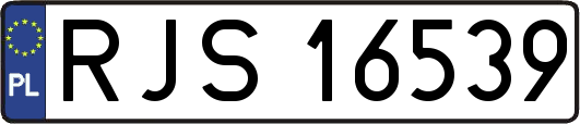 RJS16539