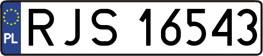 RJS16543