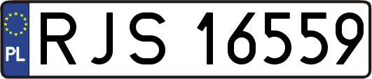 RJS16559