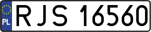 RJS16560