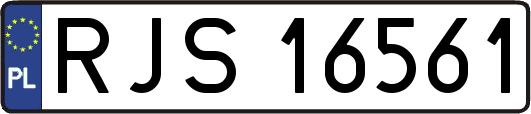 RJS16561