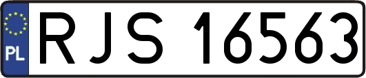 RJS16563