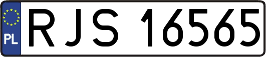 RJS16565