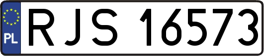 RJS16573