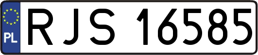 RJS16585