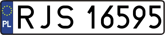 RJS16595