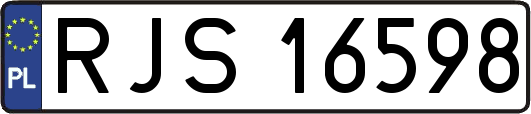 RJS16598