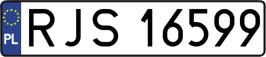 RJS16599