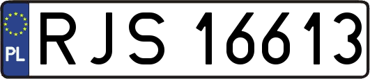 RJS16613