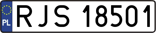 RJS18501