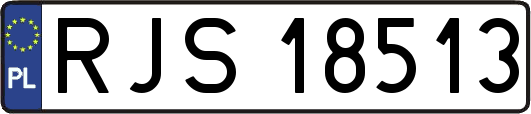 RJS18513