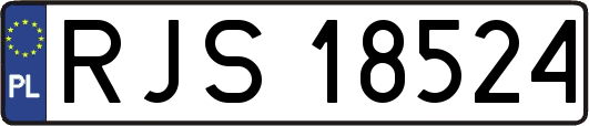 RJS18524