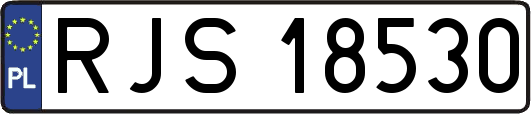RJS18530