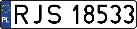 RJS18533